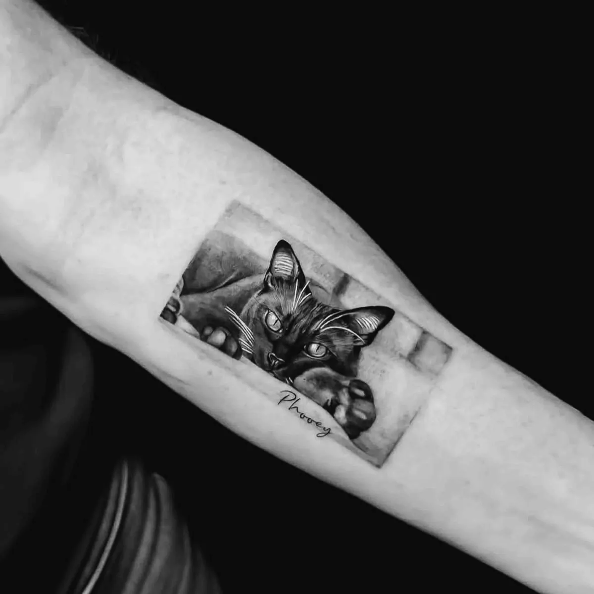 Realism cat portrait on forearm